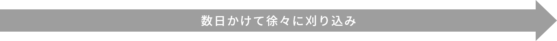 数日かけて徐々に刈り込み